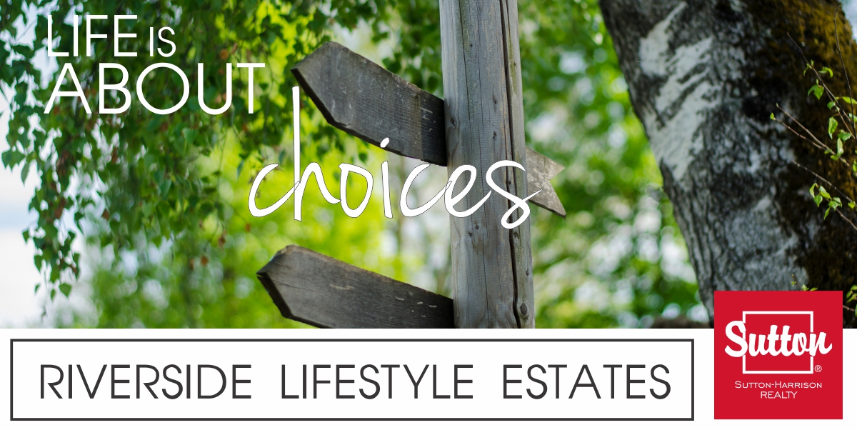 image-life is about choices